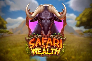 16641 safari of wealth
