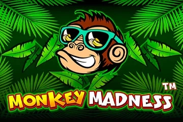 18285 monkey madness